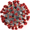 SARS-CoV-2-Virus. Foto: Alissa Eckert, MS; Dan Higgins, MAM, Centers for Disease Control and Prevention (CDC)